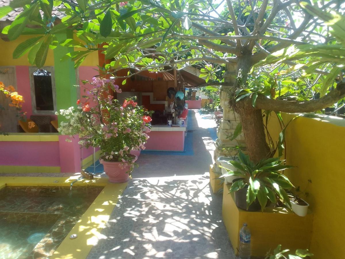 Alola Homestay