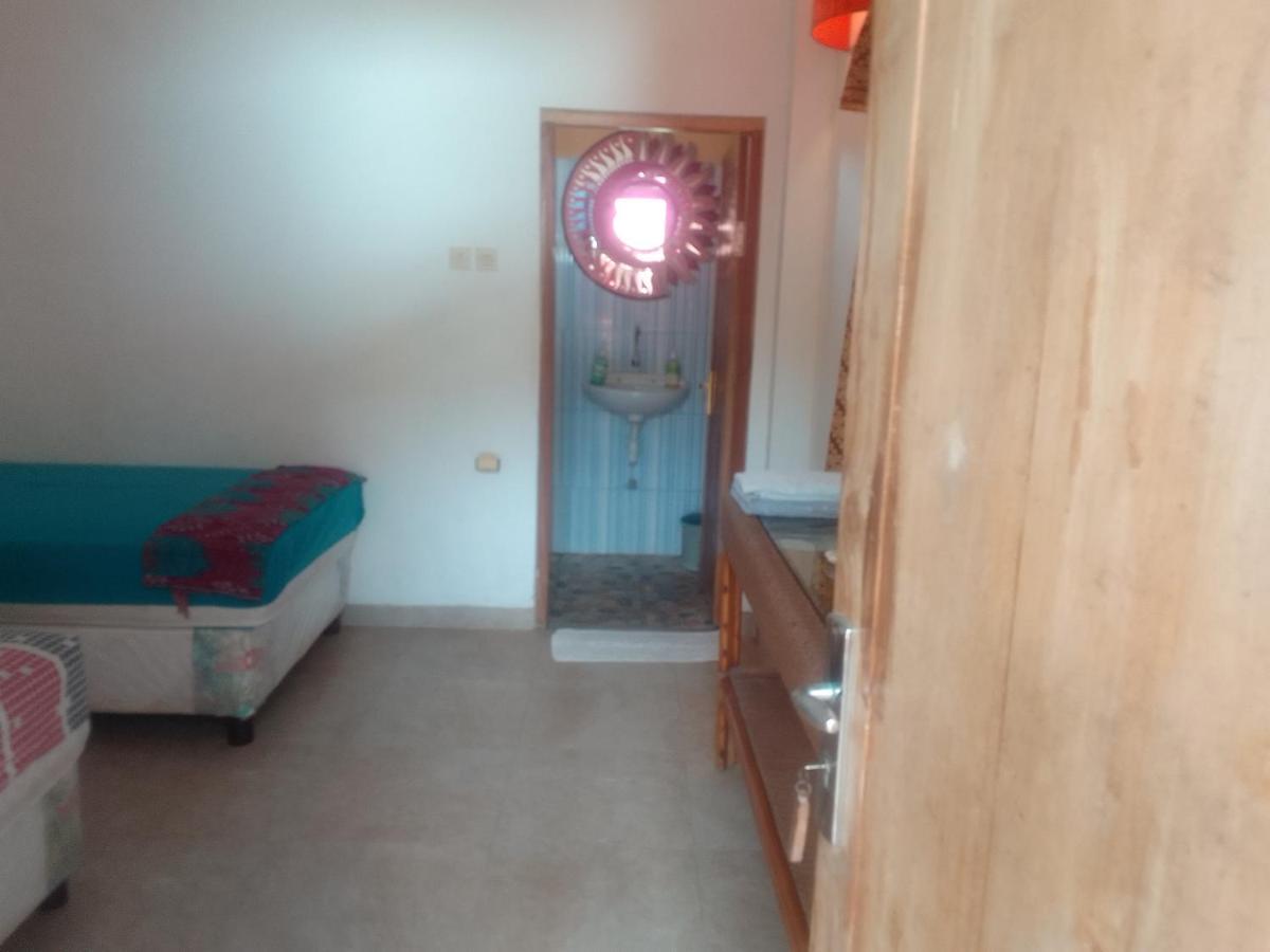 Alola Homestay Padangbai (Bali)