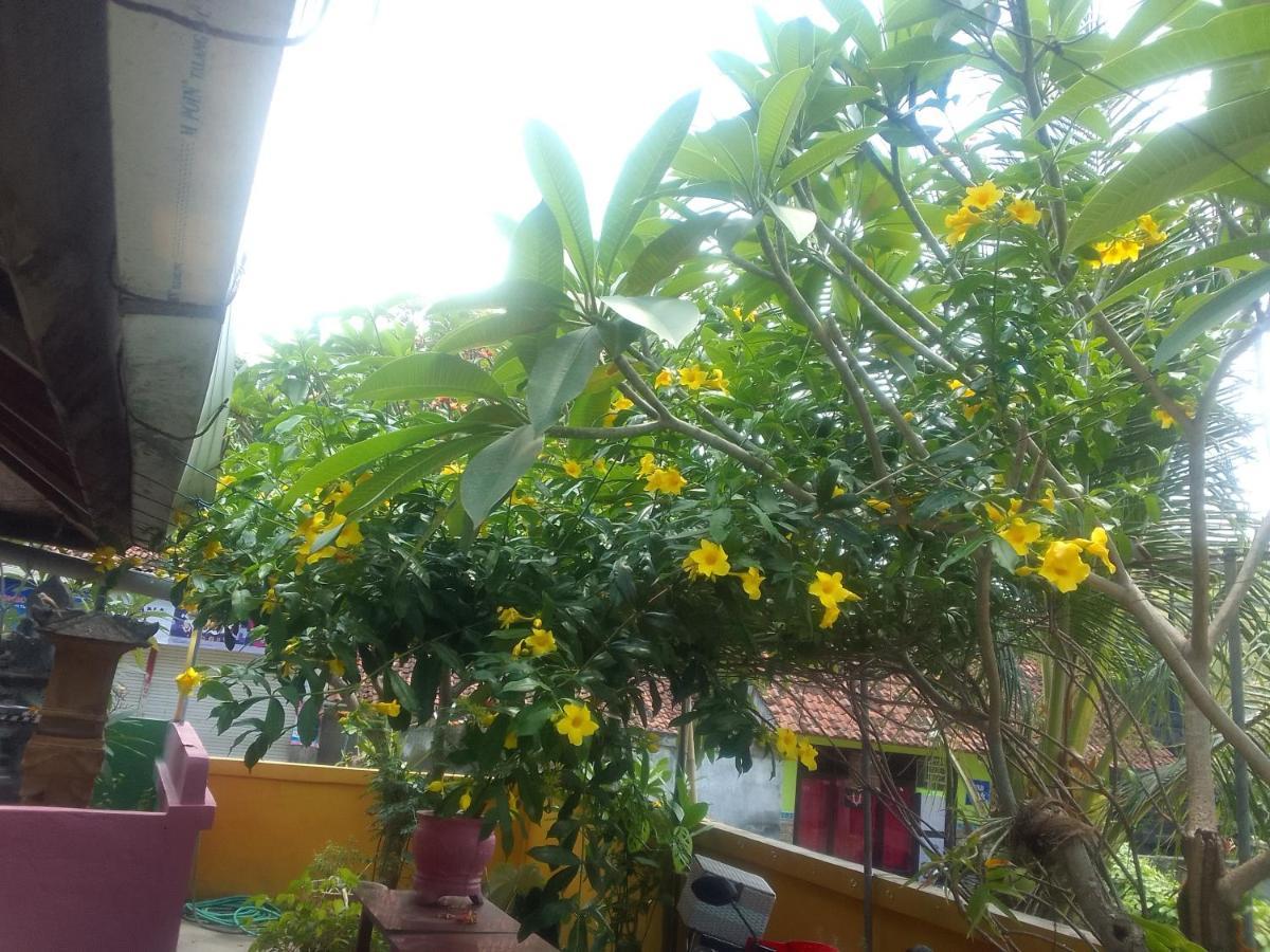 Homestay Alola